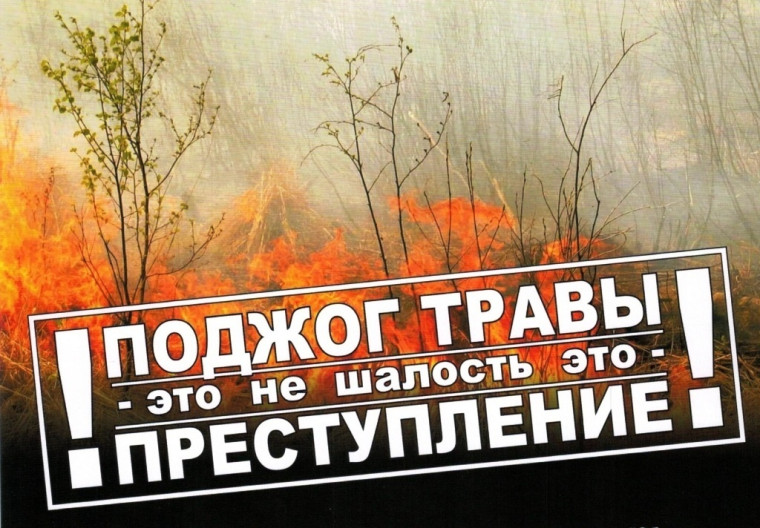Весенний пал травы - опасная традиция!.